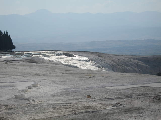 IMG_0797.JPG