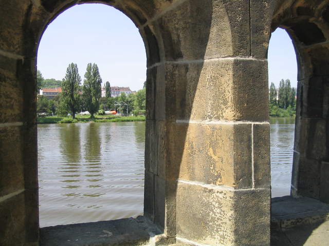 IMG_1323.jpg