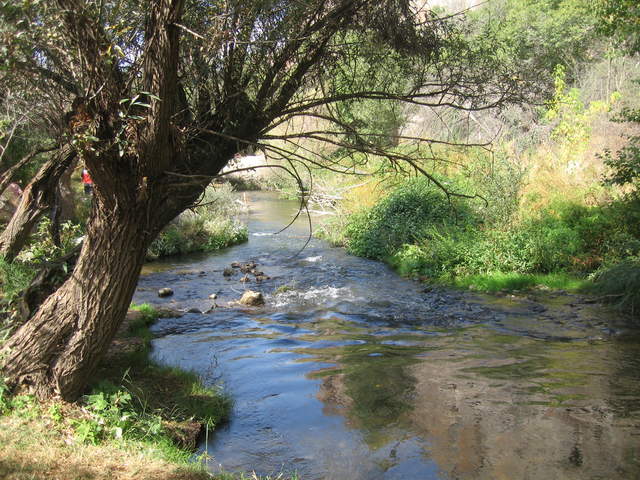 IMG_0941.JPG