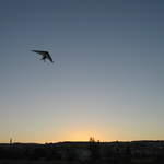 Handglider over Göreme