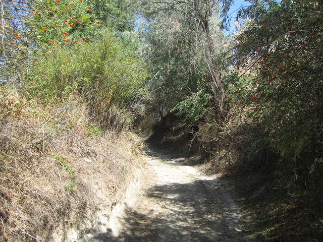 IMG_1148.JPG