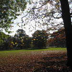 Cassiobury Park