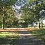 Cassiobury Park