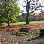 Cassiobury Park