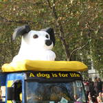 IMG_1615.JPG