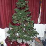 Northern Christmas