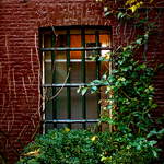 Amsterdam - DArk Window.jpg