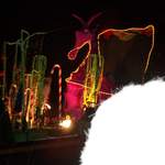 2005 018.jpg
