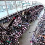 Sinterklaas - Tonnes and Tonnes of Bikes.jpg