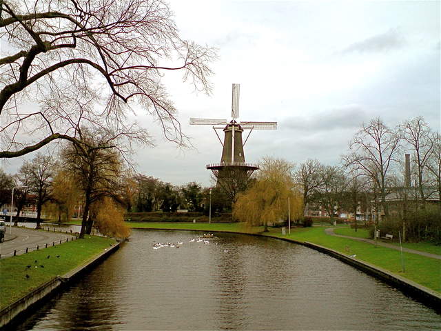 Sinterklaas - Windmill!.jpg