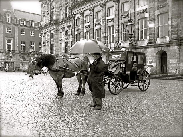 Amsterdam - Man and Horse.jpg
