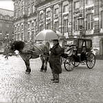 Amsterdam - Man and Horse.jpg