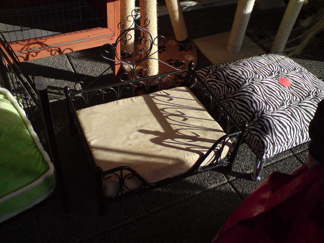 DSC00582.JPG