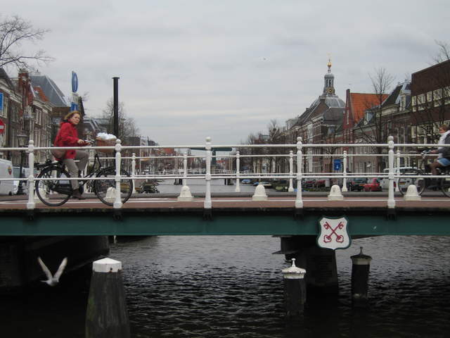 IMG_1735.JPG