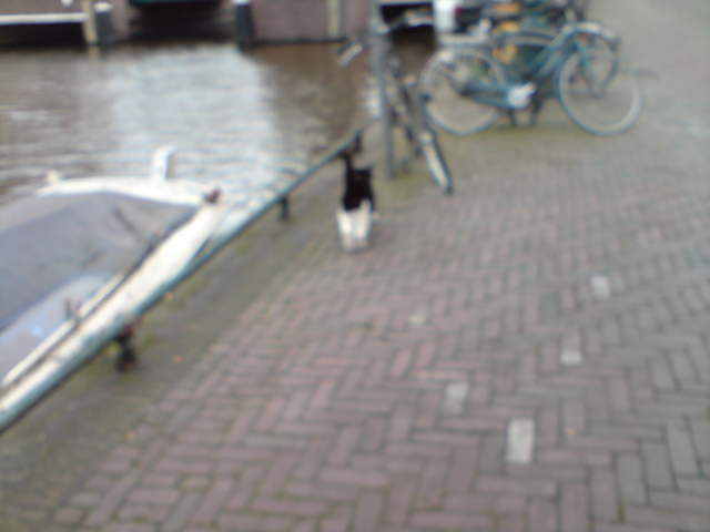 DSC00658.JPG