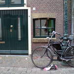 DSC00719.JPG