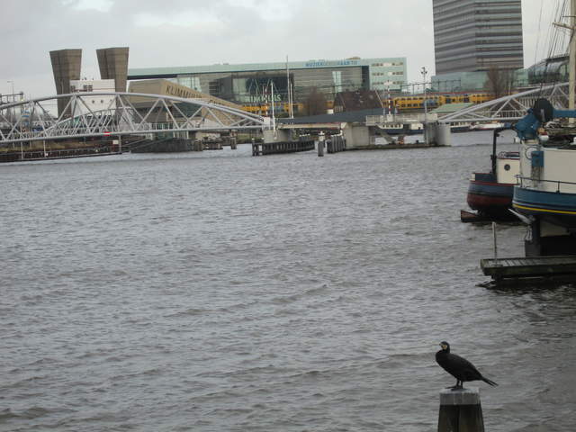 IMG_1833.JPG