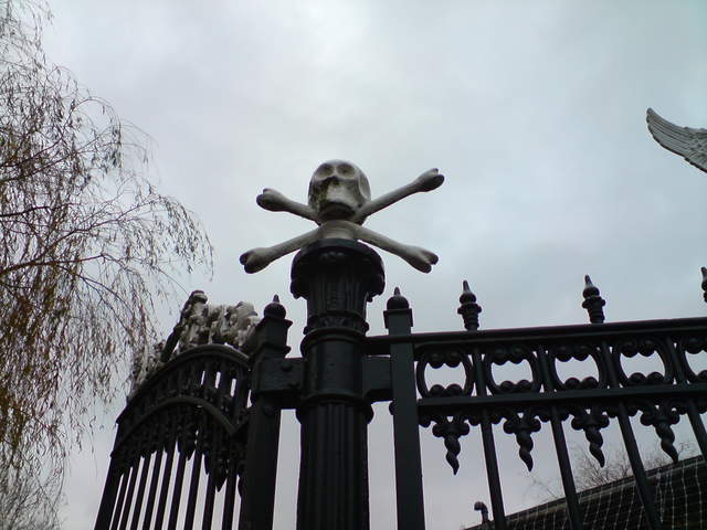 DSC00781.JPG