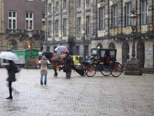 IMG_1816.JPG