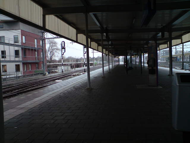 DSC00801.JPG