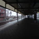 DSC00801.JPG