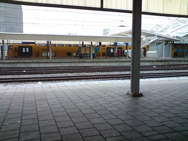 DSC00802.JPG