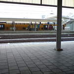 DSC00802.JPG