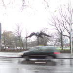 DSC00809.JPG