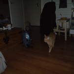 DSC00852.JPG