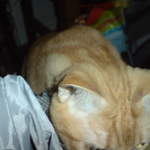 DSC00856.JPG