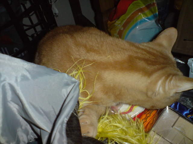 DSC00857.JPG