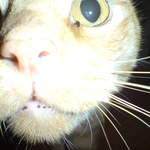 DSC00864.JPG