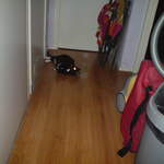 DSC00865.JPG