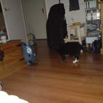DSC00868.JPG