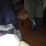 DSC00870.JPG