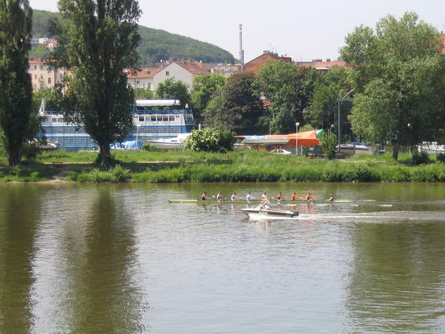 IMG_1320.jpg