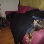 DSC00874.JPG