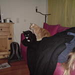 DSC00876.JPG