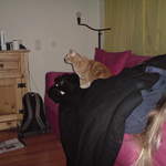 DSC00877.JPG