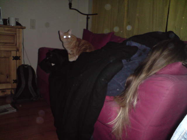 DSC00878.JPG
