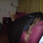 DSC00879.JPG