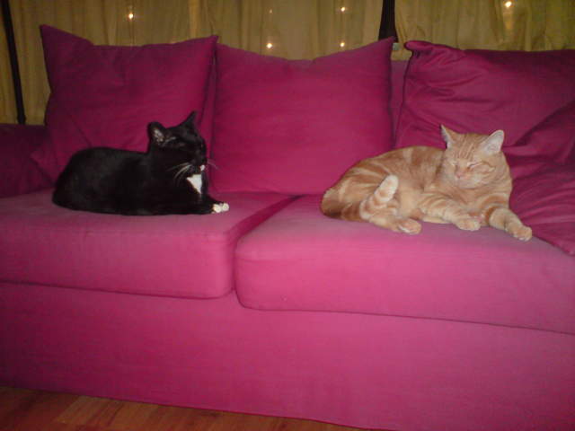 DSC00886.JPG