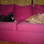 DSC00886.JPG