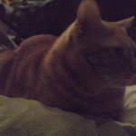 DSC00887.JPG