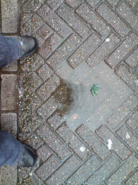 DSC00893.JPG
