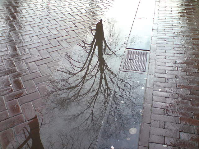 DSC00935.JPG