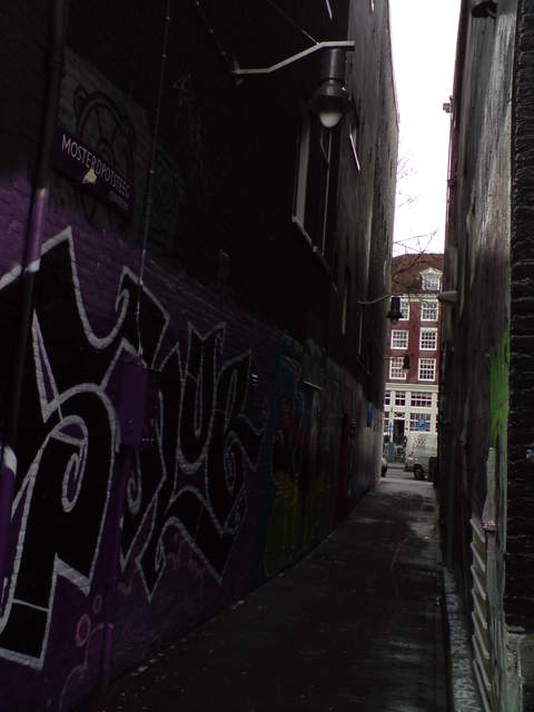 DSC00954.JPG