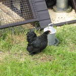 aldenham 004.jpg