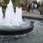 100_2522.JPG