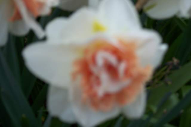 100_2525.JPG